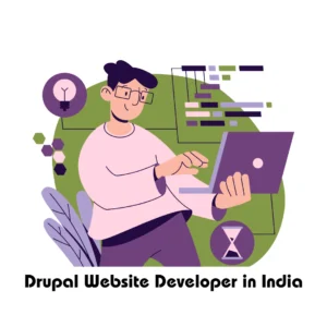 Drupal Website Developer