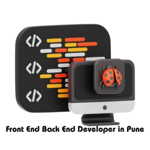 Front-end and Back-end Developers in Pune