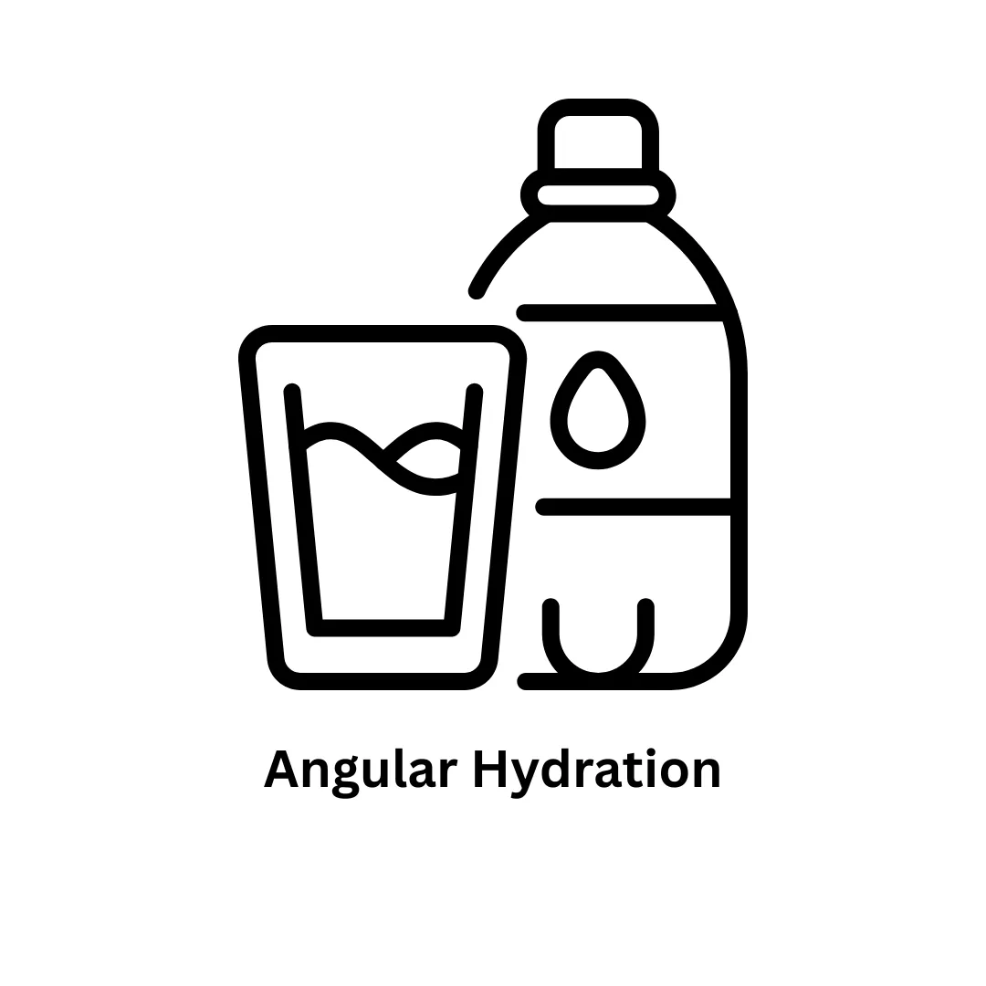 Angular Hydration: Enhancing Performance and SEO for Modern Web Applications