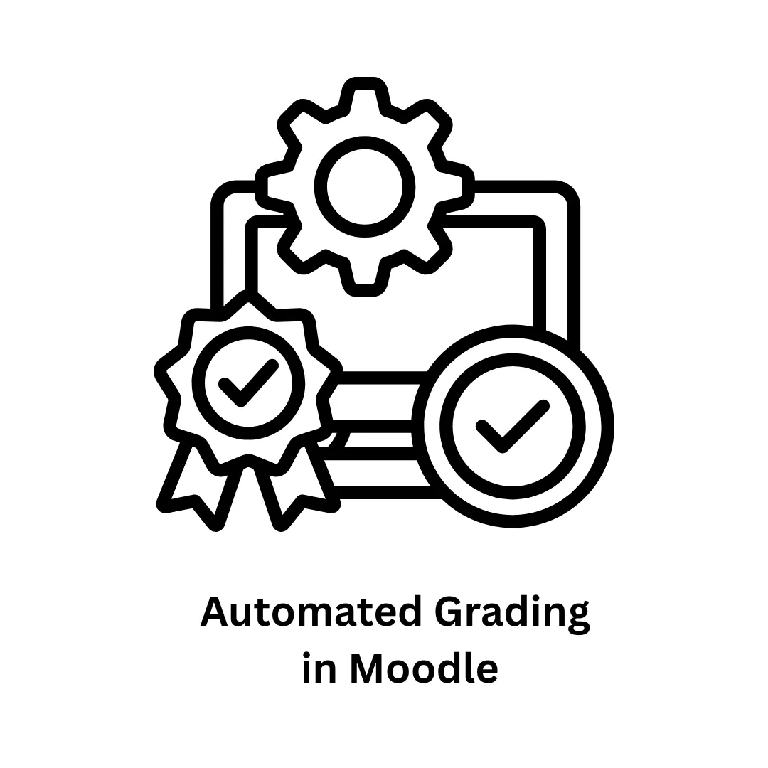 Elevate E-Learning with Custom Solutions for Automated Grading in Moodle