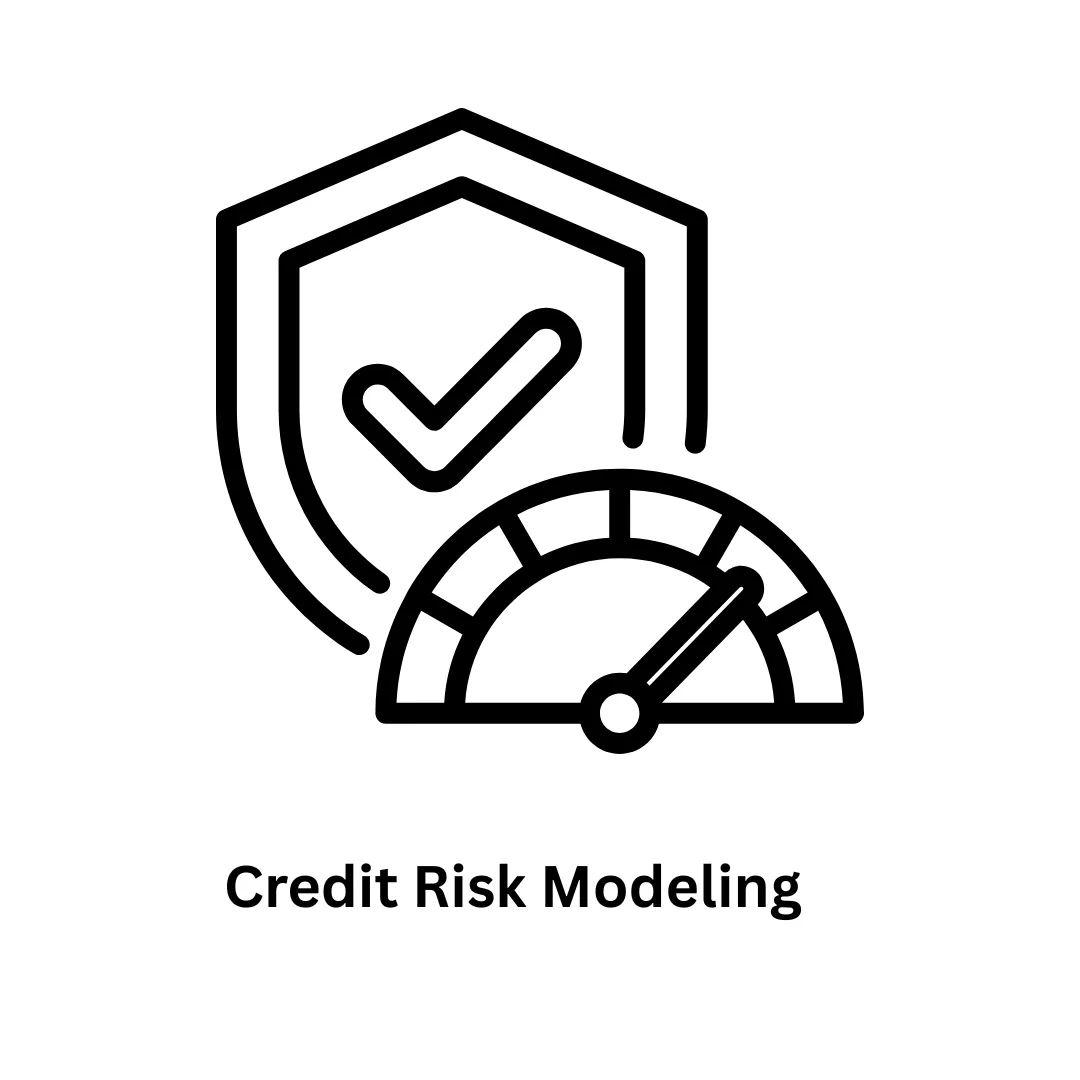 Advanced Credit Risk Modeling & Custom Software Solutions