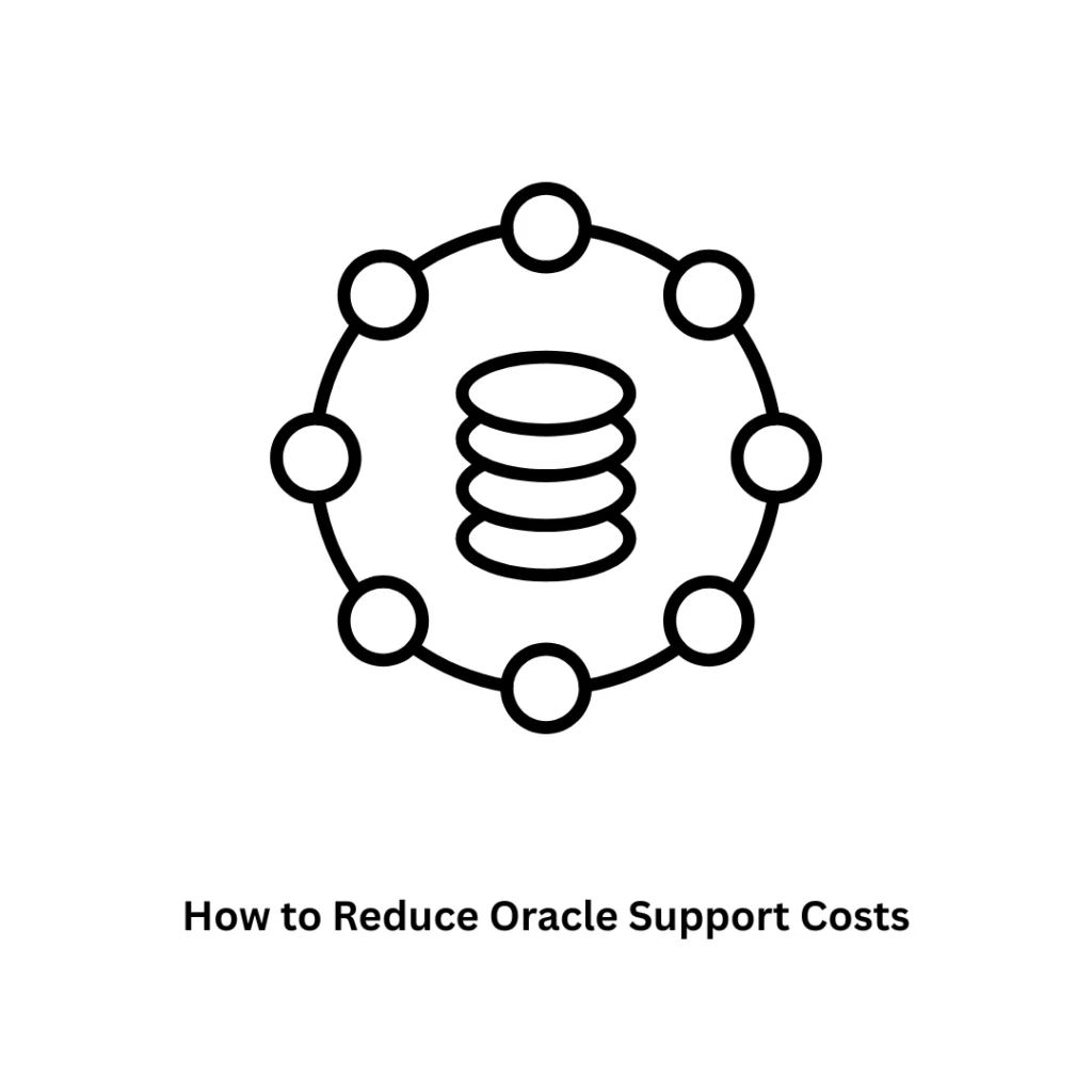 How to Reduce Oracle Support Costs | Associative Enterprise Solutions