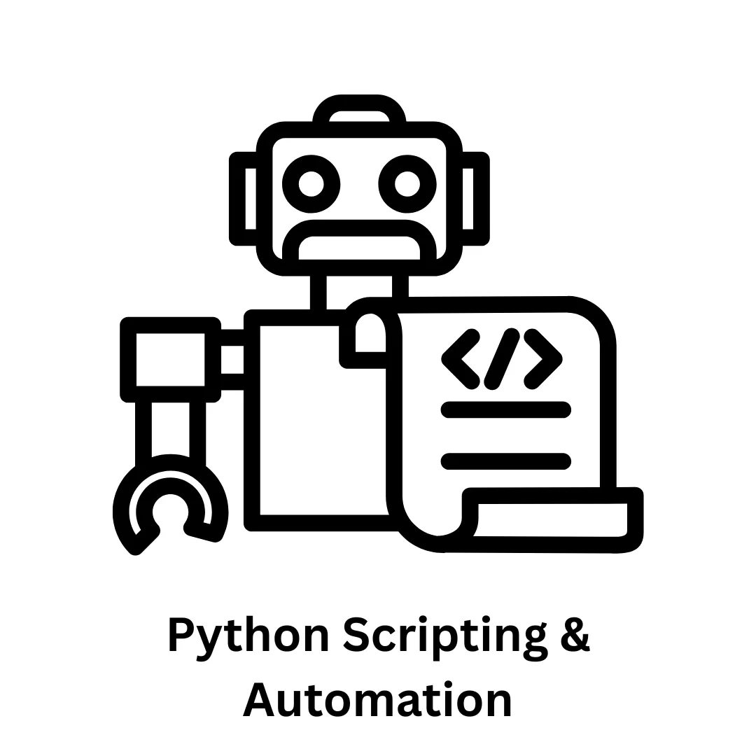 Expert Python Scripting & Automation