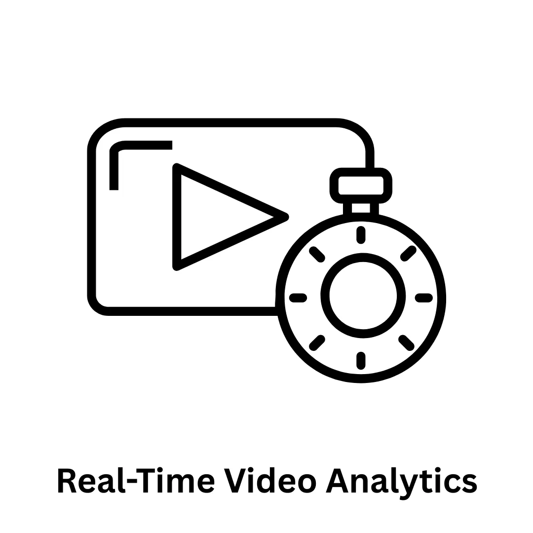 Real-Time Video Analytics & Custom Software Solutions
