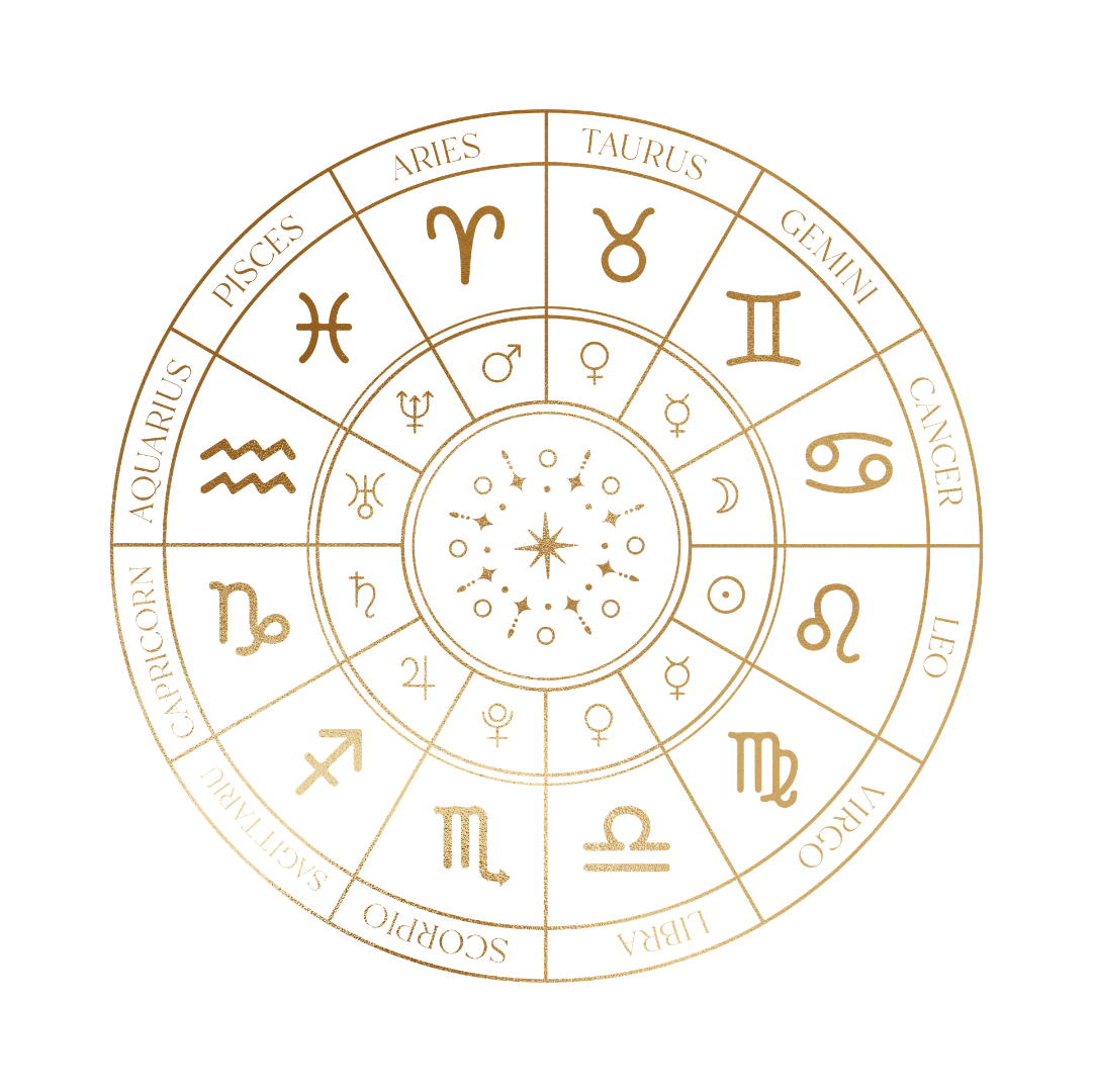 Vedic Astrology Software Development Services