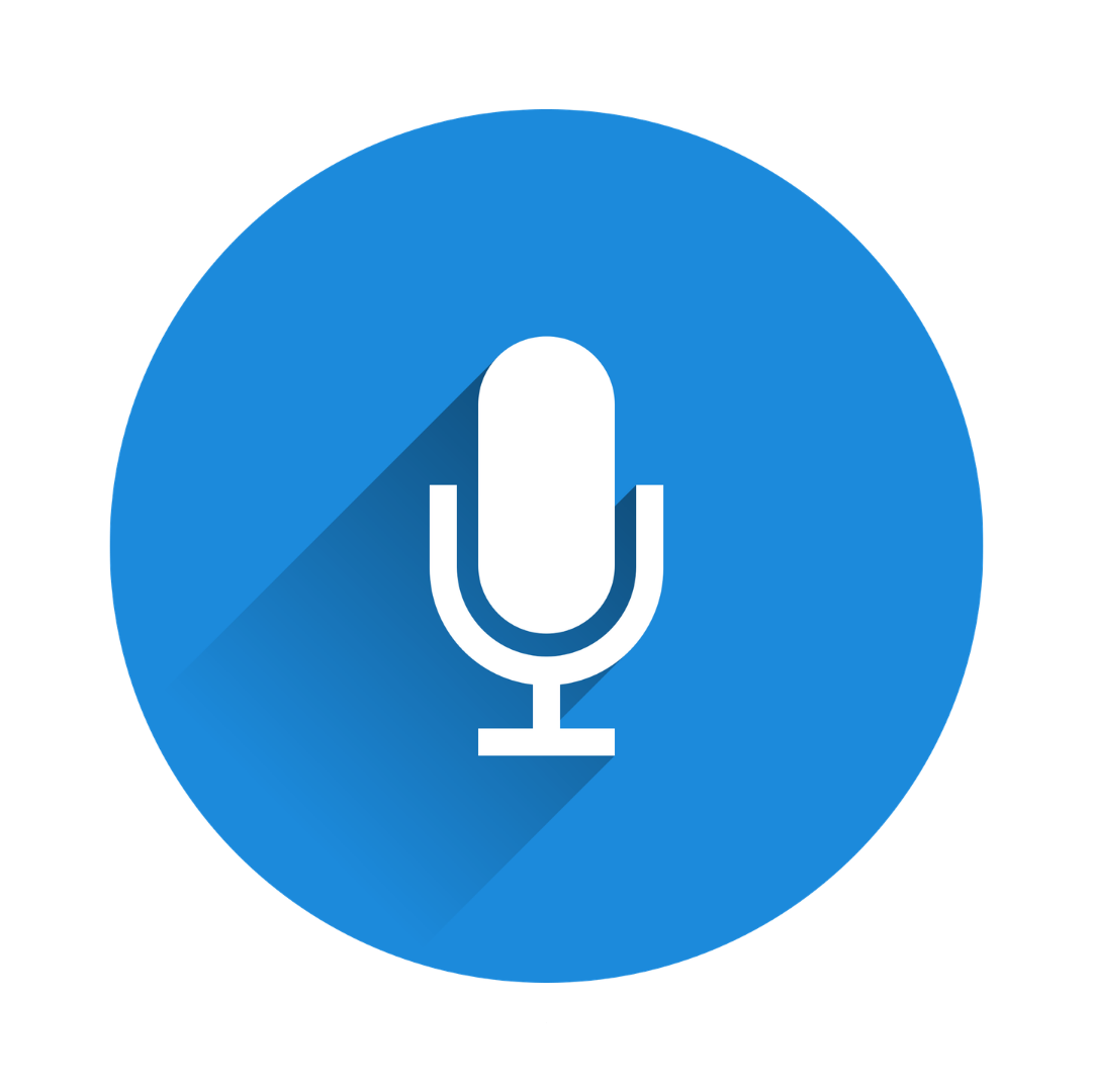 Voice Search Optimization for Ecommerce